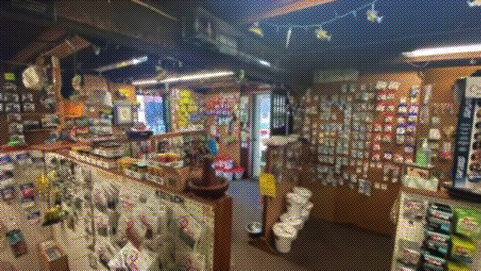 Shelves and display counter inside Widow's Bay Bait and Tackle